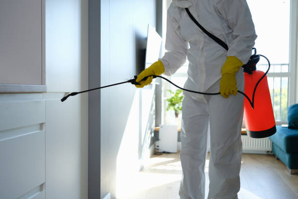 Why You Should Choose Our Mold Remediation Services in Colorado City, TX